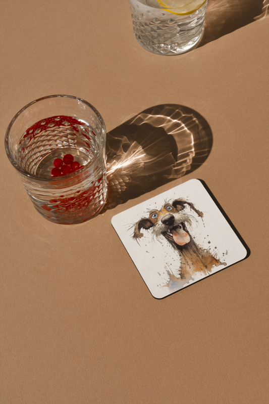 Jenny  Coaster/ Coaster Set